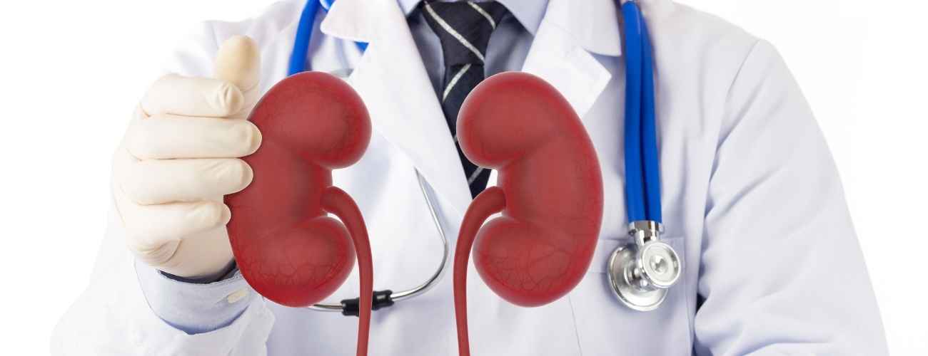 Kidney Tumor Surgery