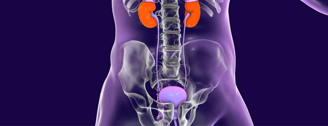 Urinary Reflux Surgeries