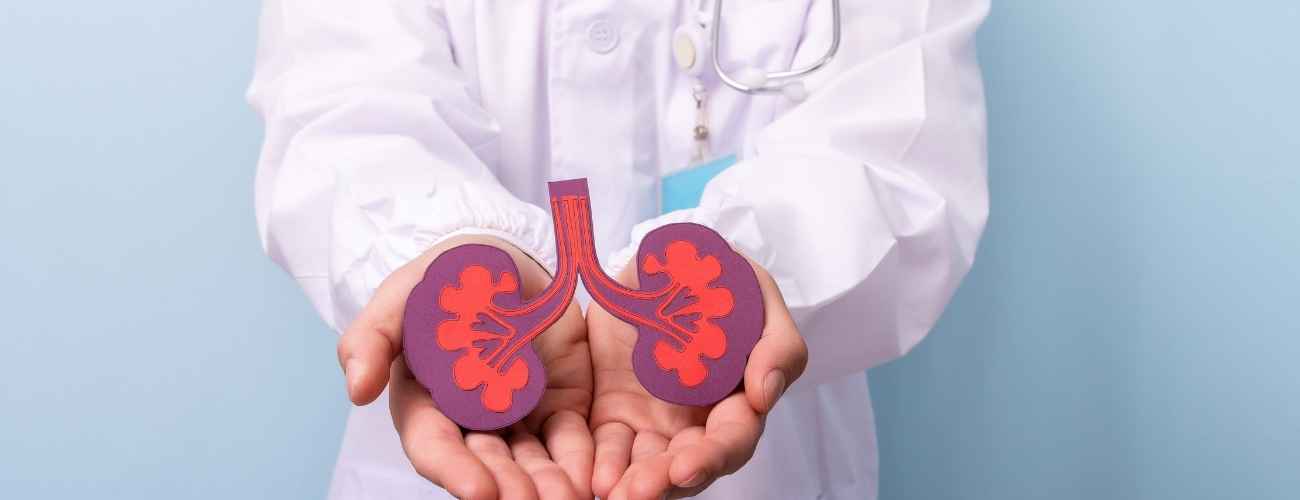 Nephrectomy Surgeries